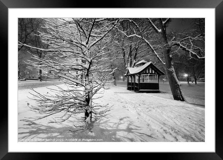 Snow the Stray Harrogate Framed Mounted Print by Giles Rocholl
