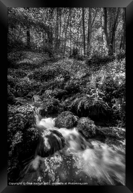 Hackfall Yorkshire waterfall. Framed Print by Giles Rocholl