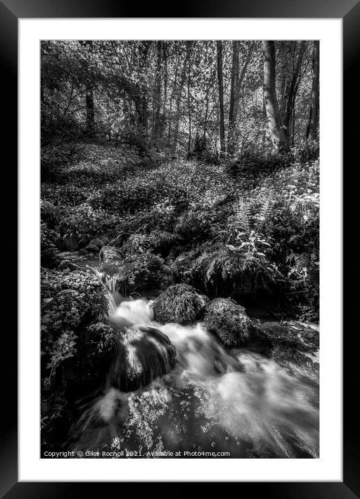 Hackfall Yorkshire waterfall. Framed Mounted Print by Giles Rocholl