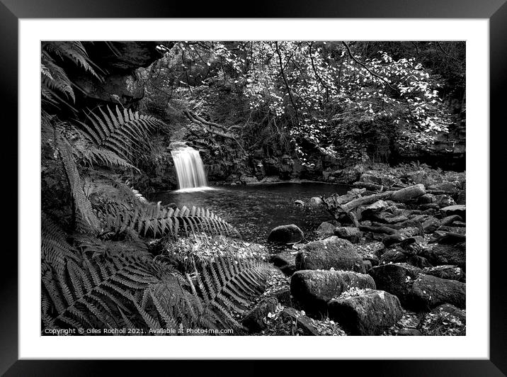 Beck Hole Waterfall Yorkshire Dales Framed Mounted Print by Giles Rocholl