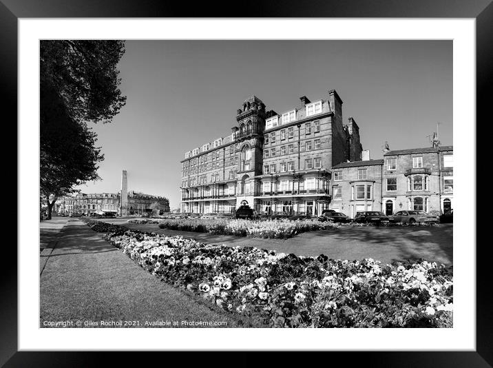 Spring flowers Harrogate Yorkshire Framed Mounted Print by Giles Rocholl