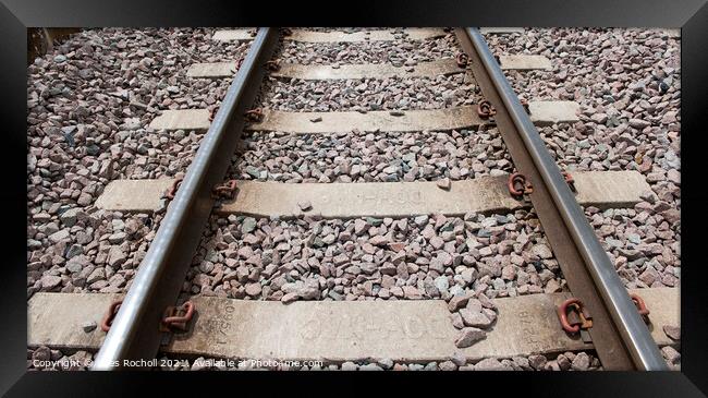 Train track and sleepers Framed Print by Giles Rocholl