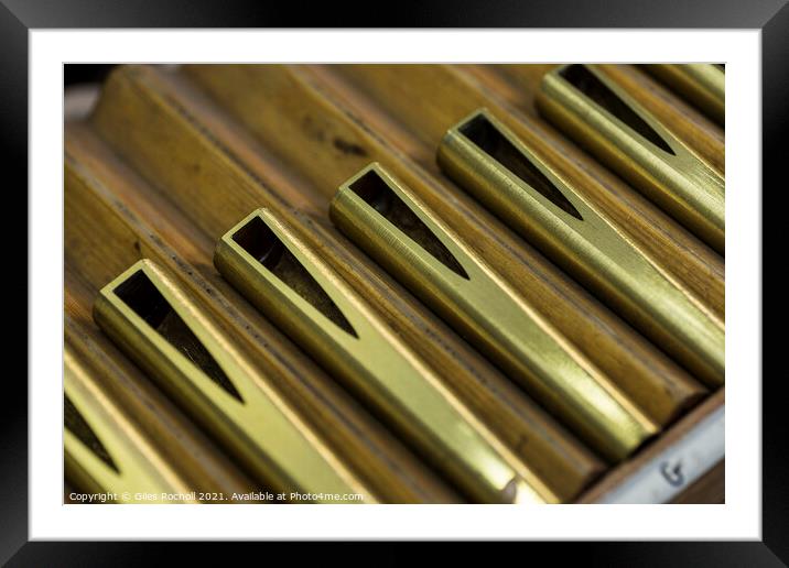 Metal organ pipe reeds Framed Mounted Print by Giles Rocholl