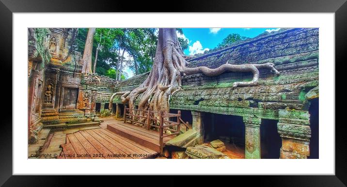 Ta Prohm Temple, Angkor Wat, Cambodia Framed Mounted Print by Arnaud Jacobs