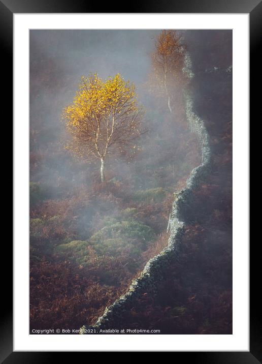 Autumn colour Framed Mounted Print by Bob Kent