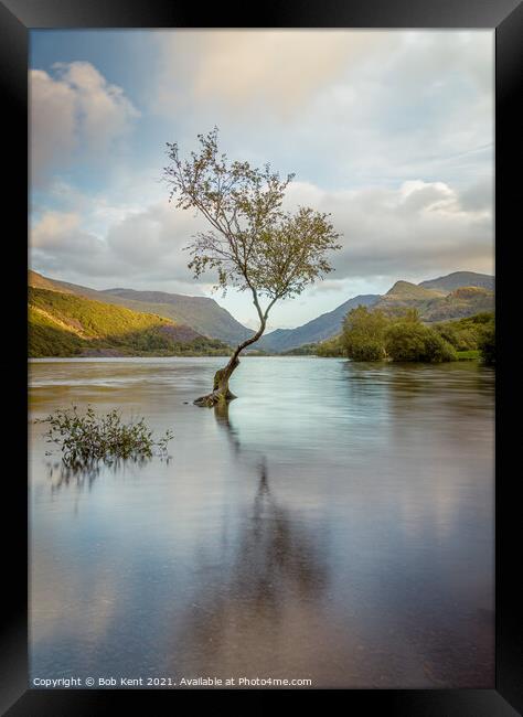 The Lone Tree Llanberis Sunset Framed Print by Bob Kent