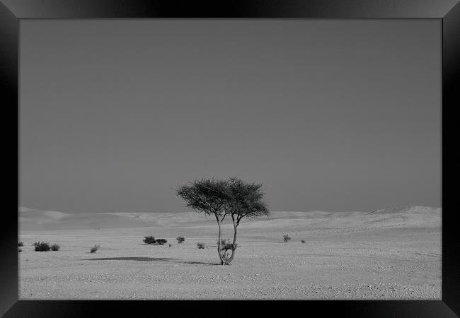 Alone in the desert Framed Print by Dimitrios Paterakis