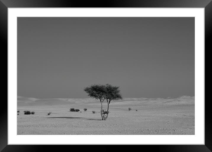 Alone in the desert Framed Mounted Print by Dimitrios Paterakis