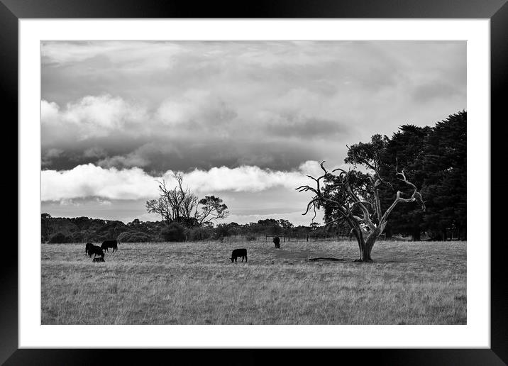 Under the clouds Framed Mounted Print by Dimitrios Paterakis