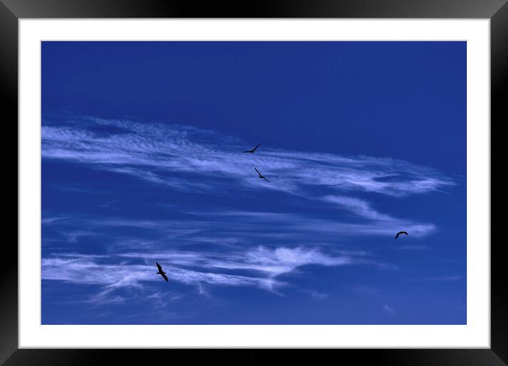 Fly high Framed Mounted Print by Dimitrios Paterakis