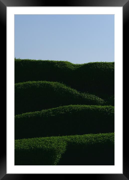 Levels of green Framed Mounted Print by Dimitrios Paterakis