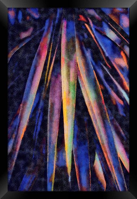 Swords of color Framed Print by Dimitrios Paterakis