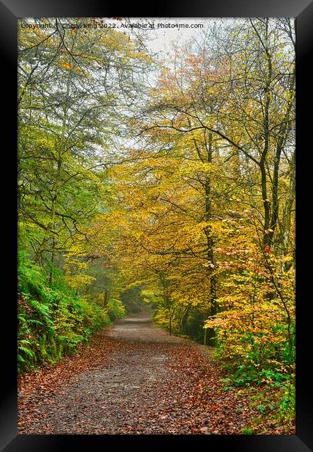 Autumn Dales Framed Print by Cheryl King