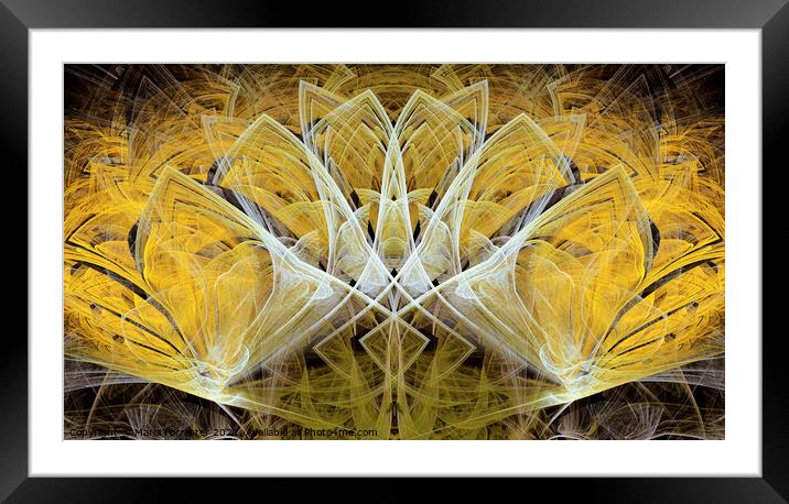 Yellow Spring Bulbs Abstract Framed Mounted Print by Maria Forrester