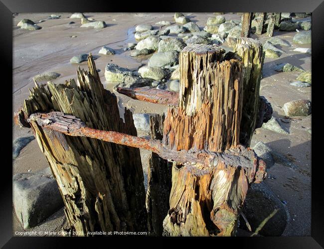 Rusty old groyne Framed Print by Marie Cooke