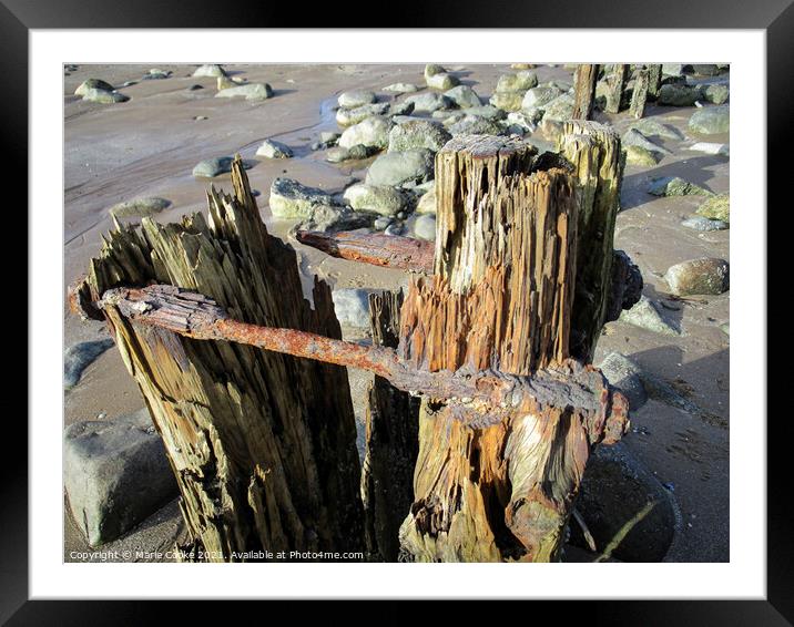 Rusty old groyne Framed Mounted Print by Marie Cooke