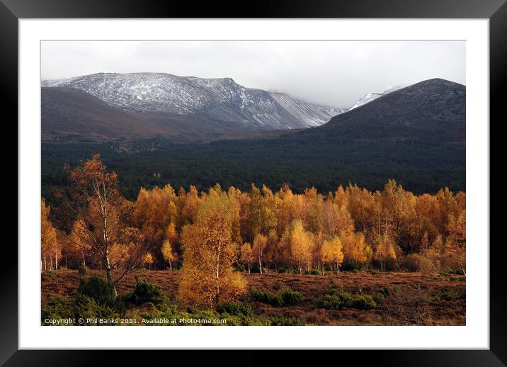 Golden Lairig Ghru - Cairngorm Mountains Framed Mounted Print by Phil Banks