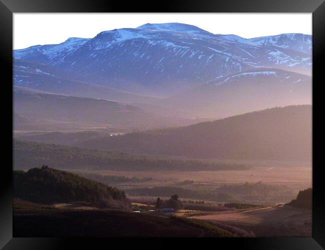 Abernethy Forest and Cairngorm -  evening shadows Framed Print by Phil Banks