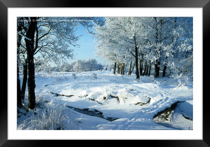 Snow and frost on Alder trees in a Highland Glen Framed Mounted Print by Phil Banks