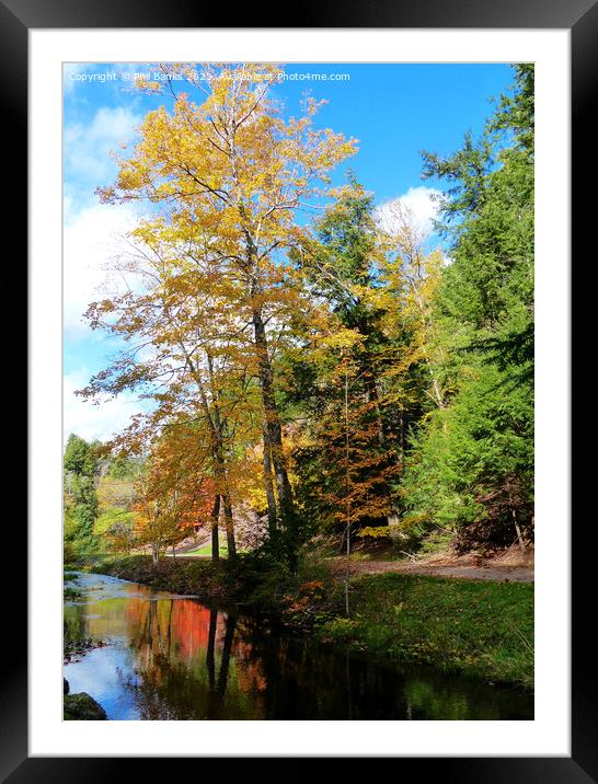 Autumn Reflections in Truro Park, Nova Scotia  Framed Mounted Print by Phil Banks