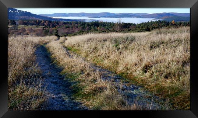 Ground Frost and mist in the Glens Framed Print by Phil Banks