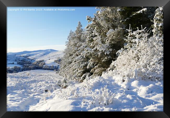 Winter in Glen Brown Framed Print by Phil Banks