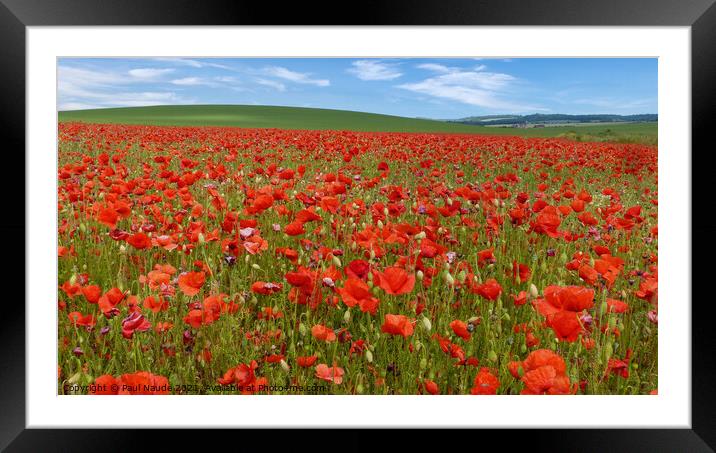 Poppy field Goring Oxfordshire UK Framed Mounted Print by Paul Naude