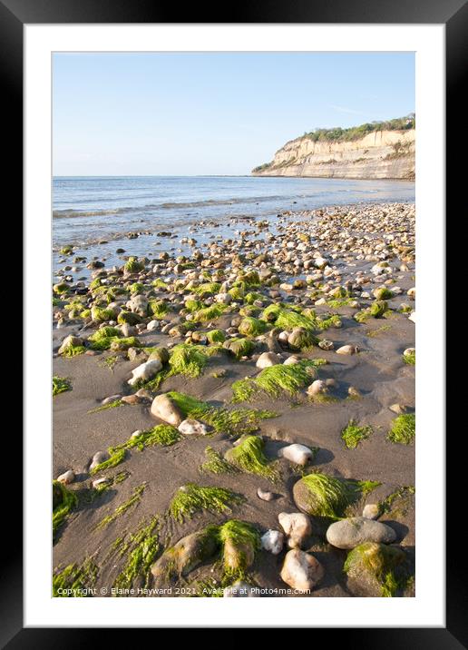 Shanklin beach at low tide Framed Mounted Print by Elaine Hayward