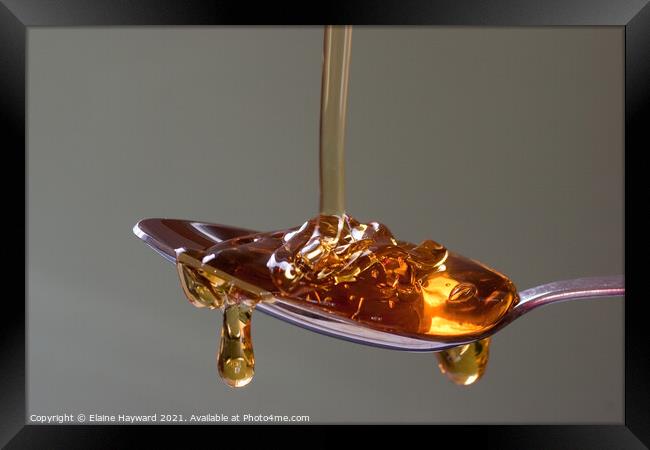 Golden syrup dripping from a silver spoon Framed Print by Elaine Hayward