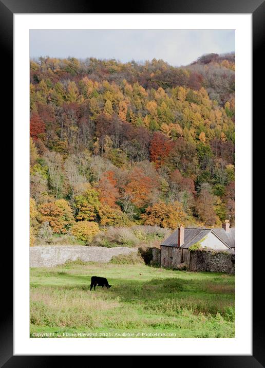 Wye Valley autumn at Tintern Framed Mounted Print by Elaine Hayward