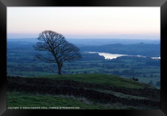 Lone tree in the Roaches  Framed Print by Elaine Hayward