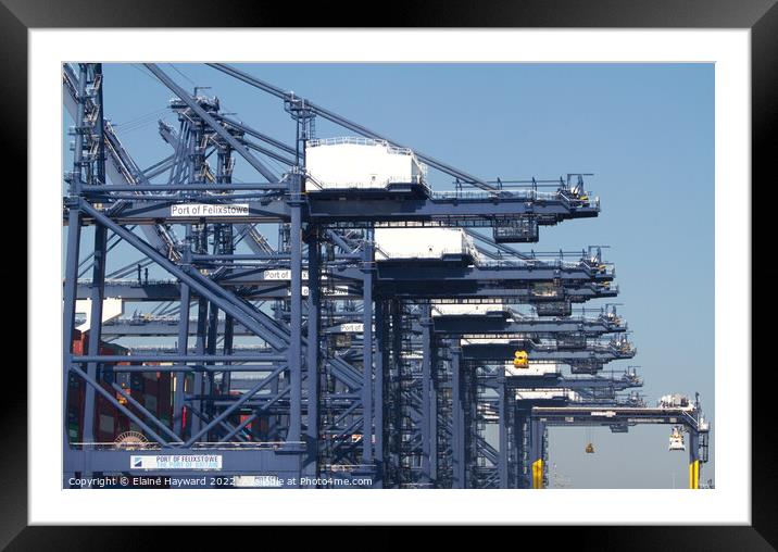 Felixstowe port with a close up of the cranes Framed Mounted Print by Elaine Hayward