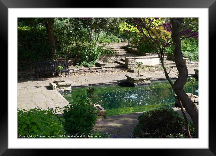 The Imola Garden in Castle Park, Colchester Framed Mounted Print by Elaine Hayward