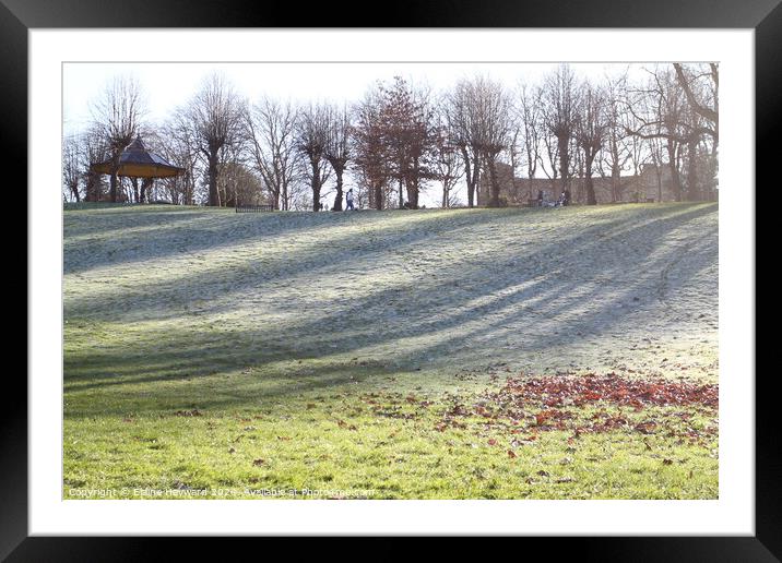Colchester Castle Park in winter Framed Mounted Print by Elaine Hayward
