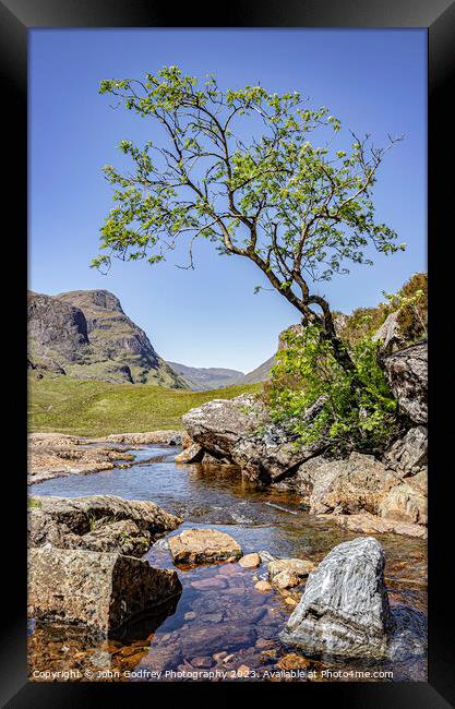 Glencoe Tree. Framed Print by John Godfrey Photography