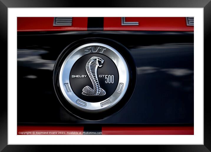 Shelby GT500 Mustang Framed Mounted Print by Raymond Evans