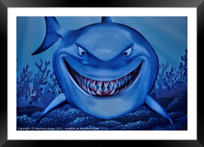 Shark grinning  Framed Mounted Print by Raymond Evans