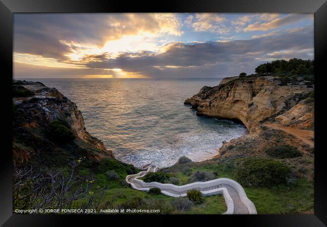 Paradise Beach Framed Print by JORGE FONSECA