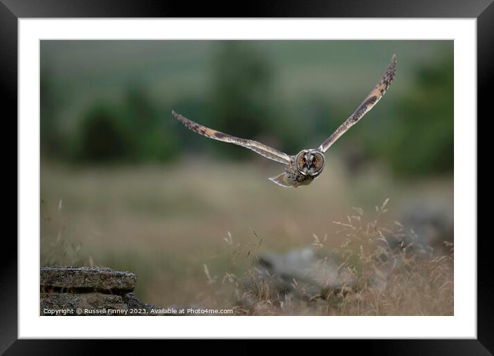 Long Eared Owl Framed Mounted Print by Russell Finney