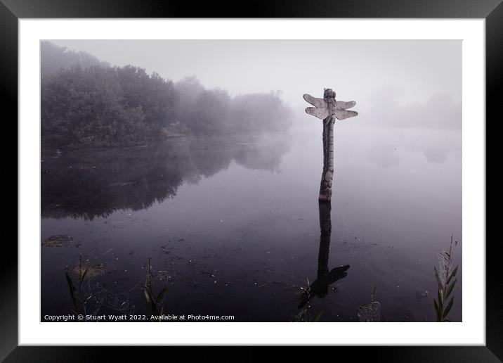 Misty Dragonfly Totem Framed Mounted Print by Stuart Wyatt