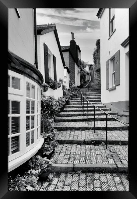 Mount Flagon Steps, Dartmouth Framed Print by Stuart Wyatt