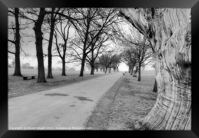 Brockwell Park, Brixton Framed Print by Stuart Wyatt