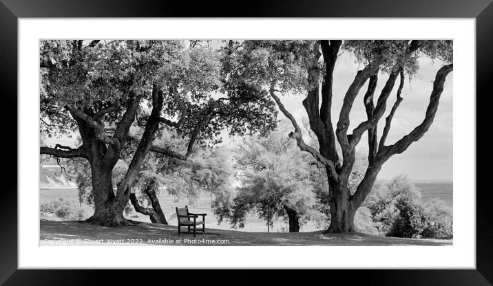 Bench with a view Framed Mounted Print by Stuart Wyatt