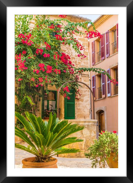 bougainvillea alcudia Framed Mounted Print by Alex Winter