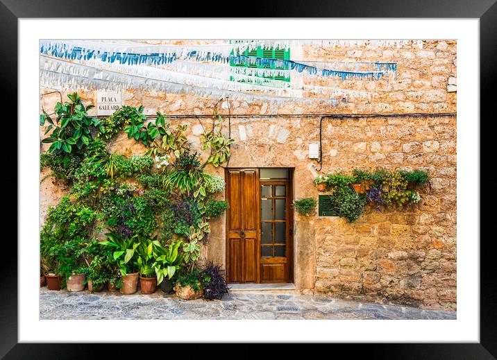 Potted plant, Rustic Charm in Valldemossa Framed Mounted Print by Alex Winter