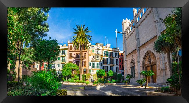 Houses in old town center of Palma de Majorca, Spa Framed Print by Alex Winter