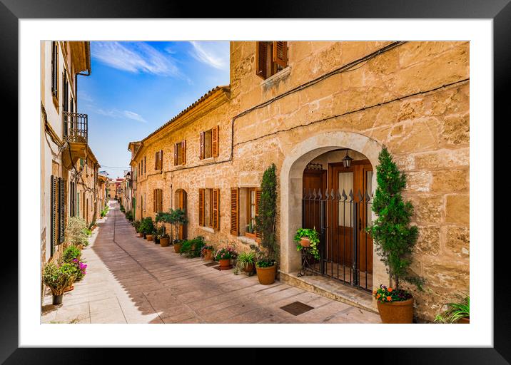 Potted plants in Alcudia on Mallorca, Spain Framed Mounted Print by Alex Winter