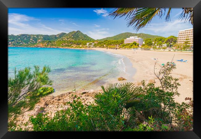 Sand beach of Canyamel coast on Mallorca island Framed Print by Alex Winter