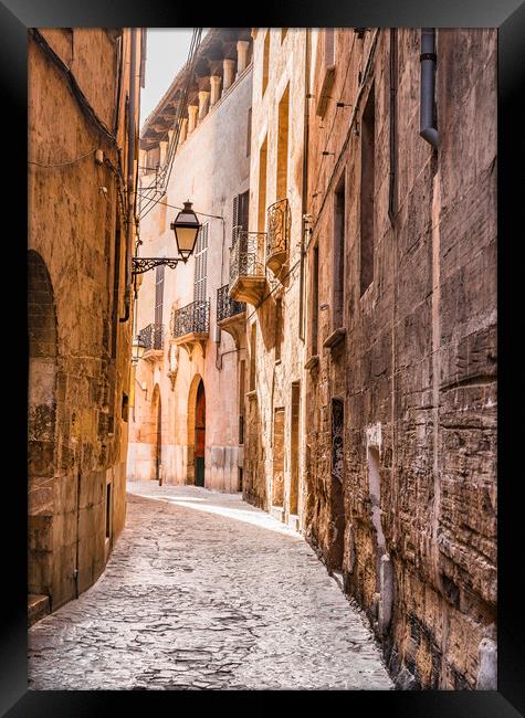 Old town of Palma Framed Print by Alex Winter