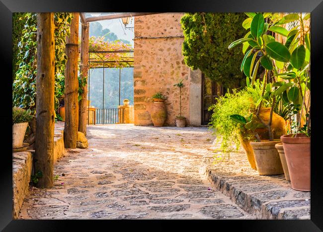 Mediterranean terrace with beautiful potted plants and idyllic sunset light Framed Print by Alex Winter
